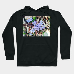 Light purple flowers Hoodie